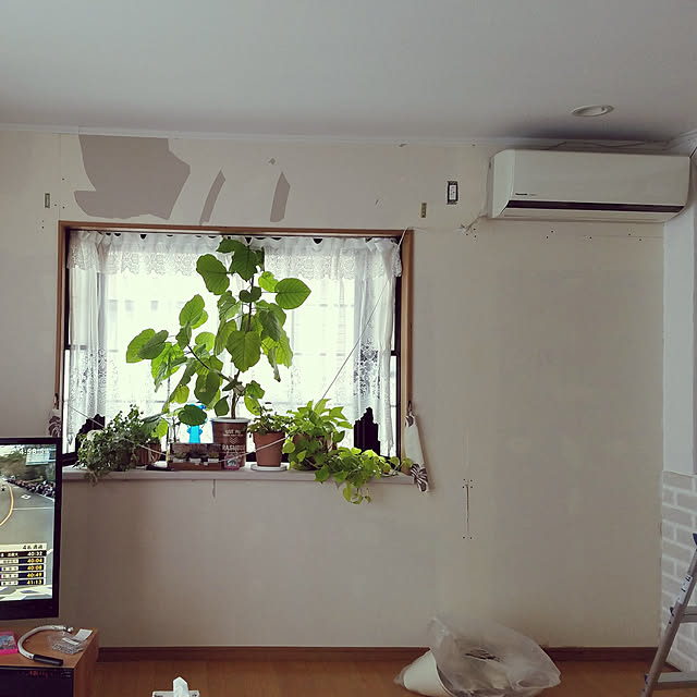 Kinanさんの実例写真