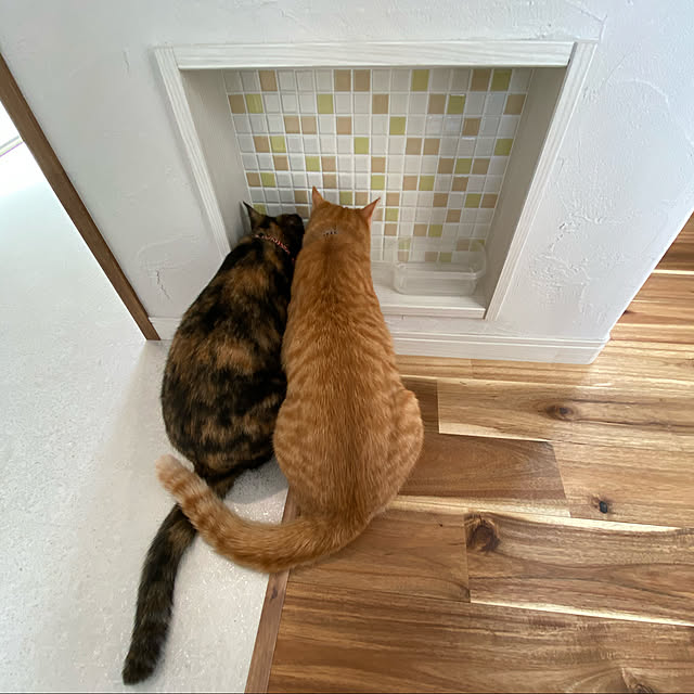 yuさんの実例写真