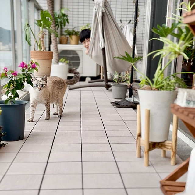amさんの実例写真