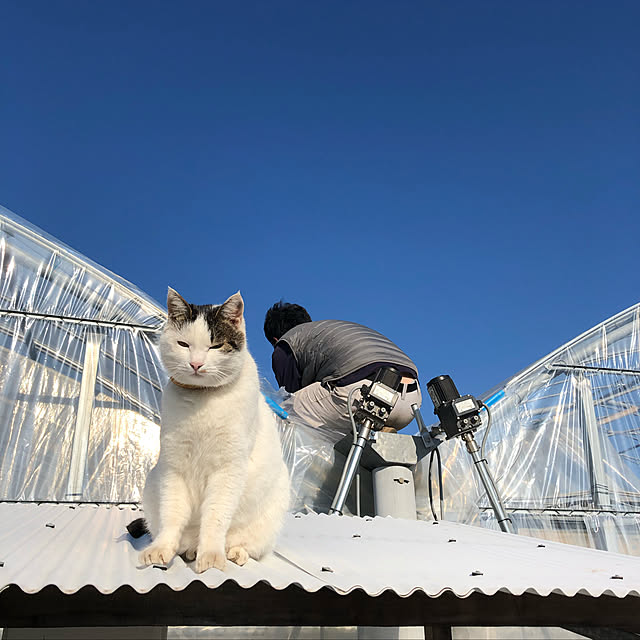 dekobokoさんの実例写真