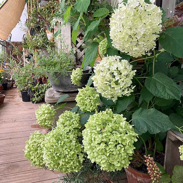 izumiさんの部屋