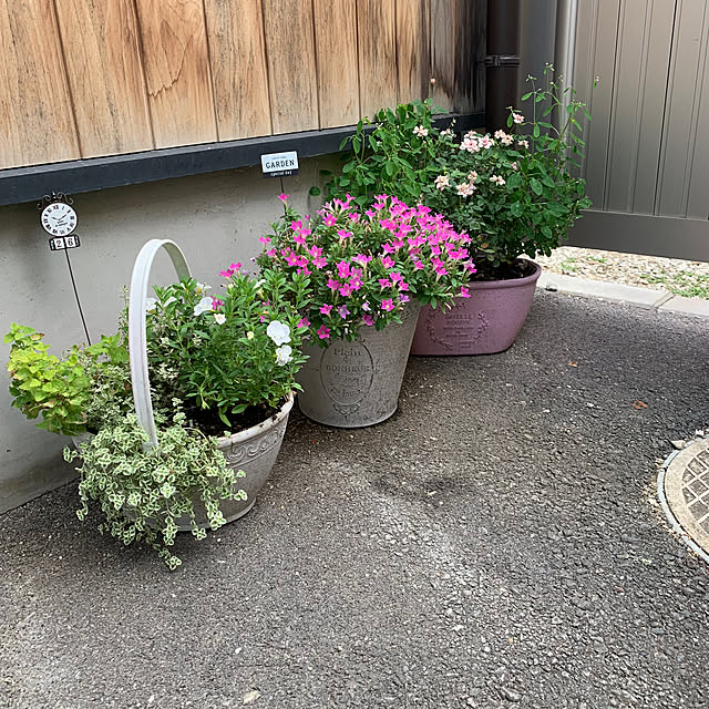 maayaさんの部屋