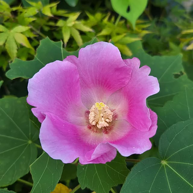 mitsuyama3136さんの実例写真