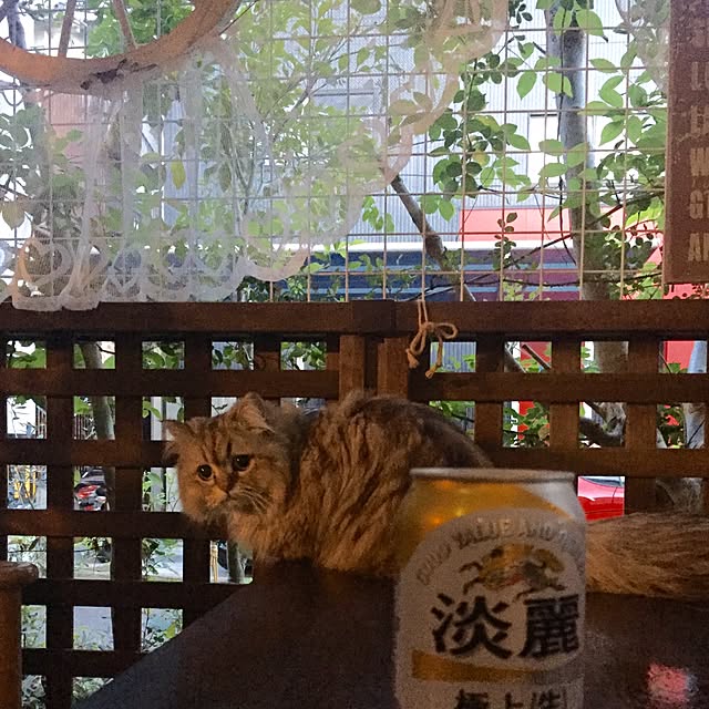butachanさんの実例写真