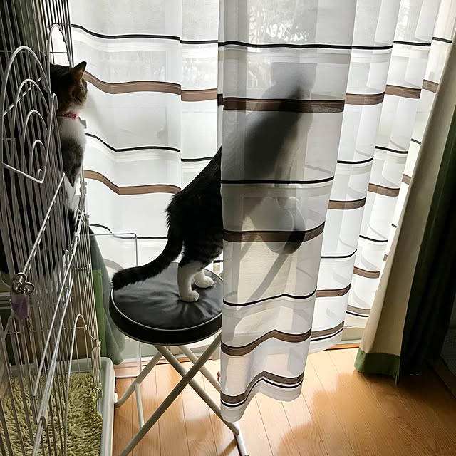 mugikoさんの実例写真