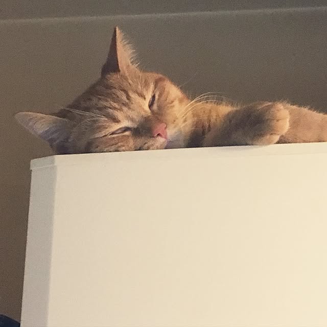 rumiさんの実例写真