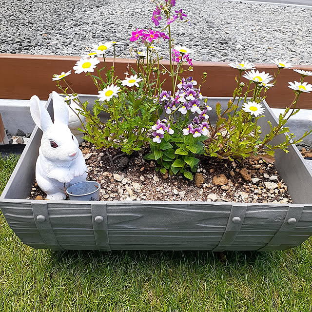 nisaさんの実例写真