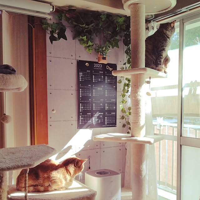 runaさんの実例写真