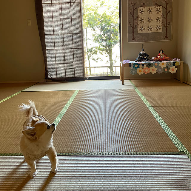 natsumiさんの実例写真