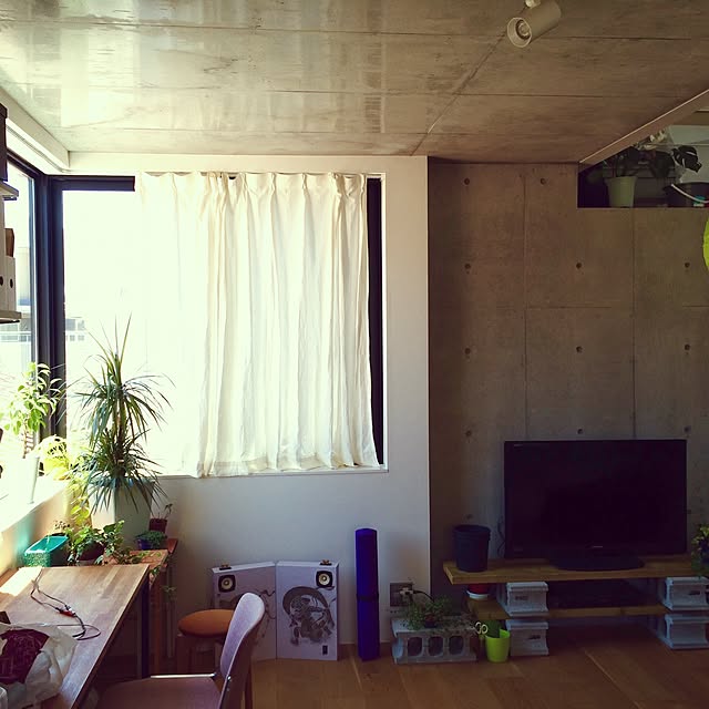 リビング/DIY/観葉植物/ハンドメイドのインテリア実例 - 2015-07-21 12:27:33