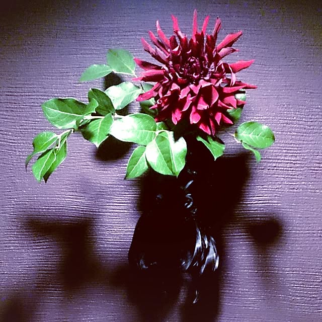 Gravityさんの実例写真