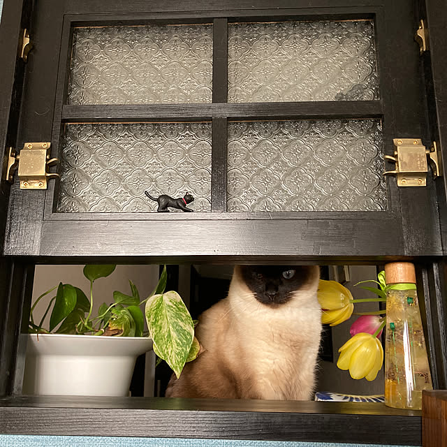 73さんの実例写真