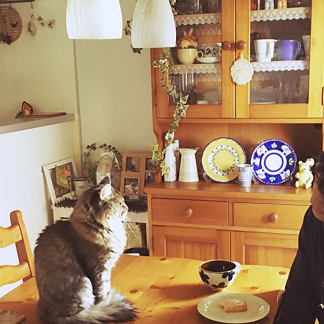 pumareoさんの実例写真