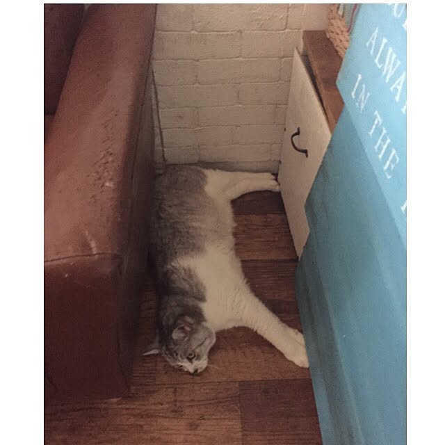 runtenさんの実例写真
