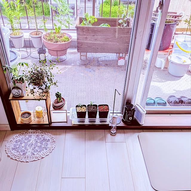 mi-saさんの部屋