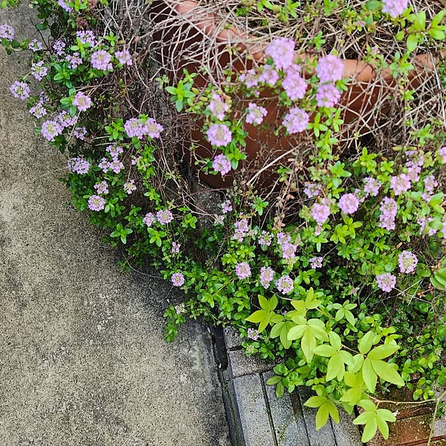 amtさんの実例写真