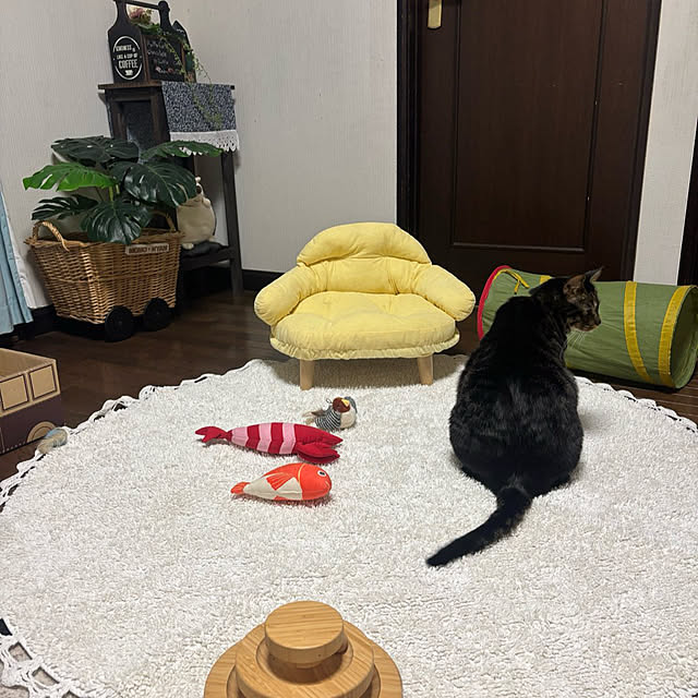 momocchiさんの実例写真