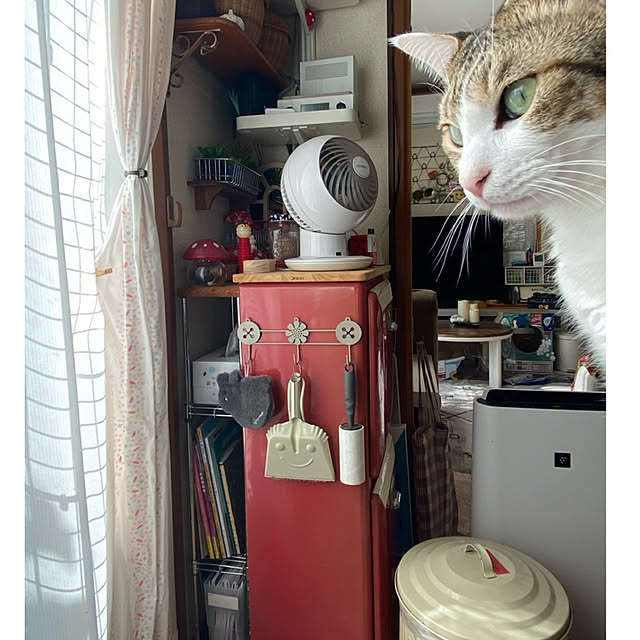 Lufuさんの実例写真