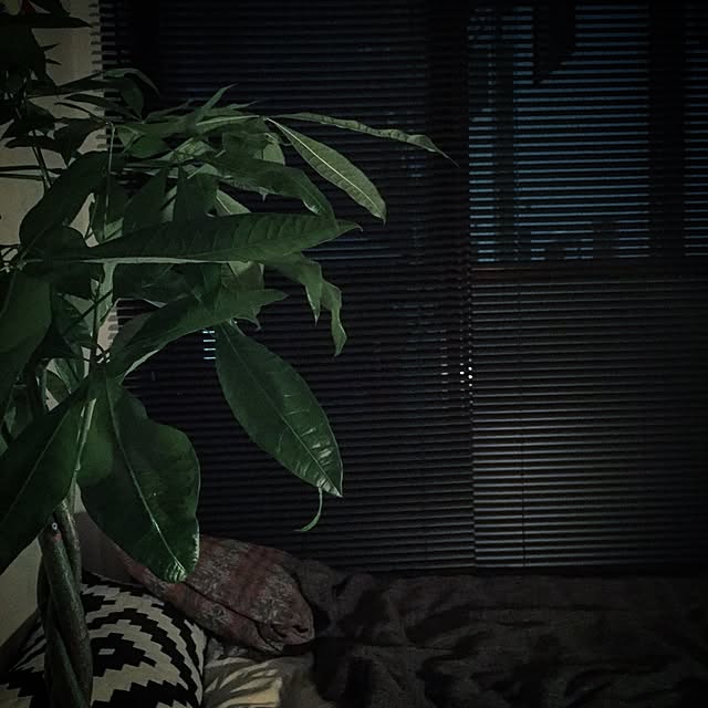 bannodesuさんの実例写真
