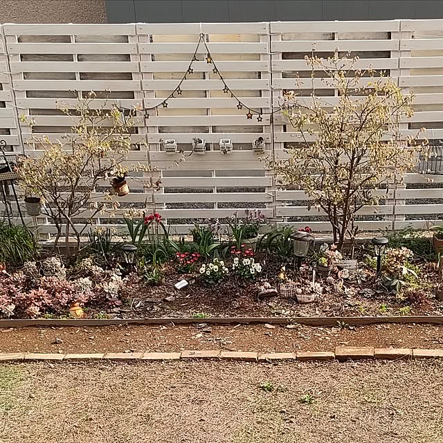 4-mamaさんの実例写真