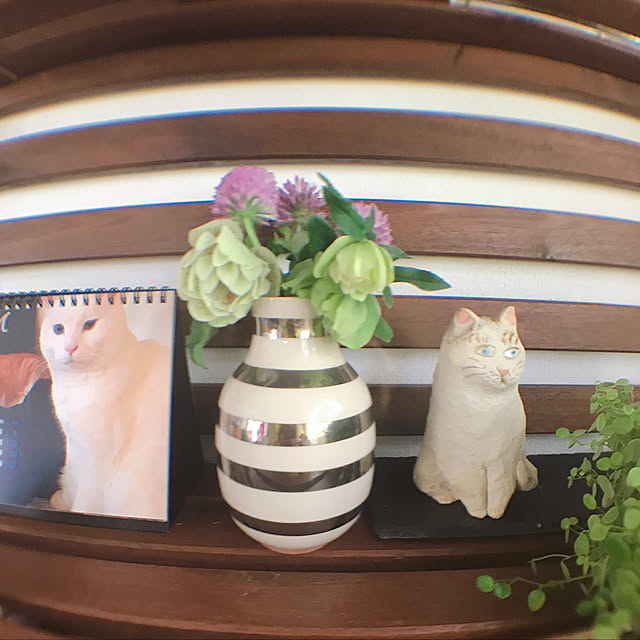nyanko-beamさんの実例写真