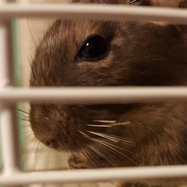 peryryさんの実例写真