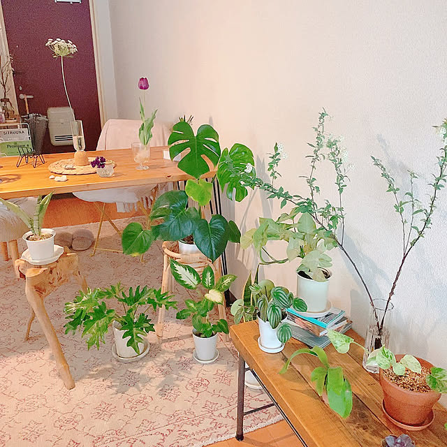 smallroomさんの実例写真