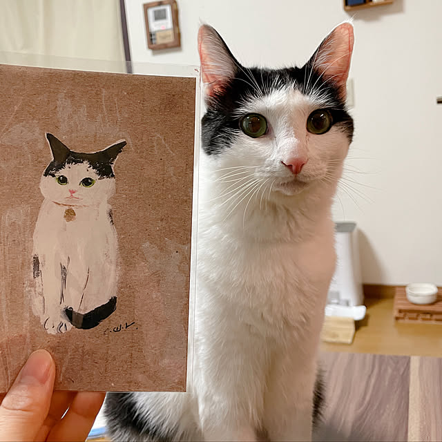 harukaさんの実例写真