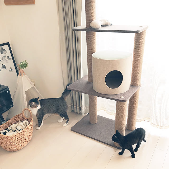 nekomiさんの実例写真