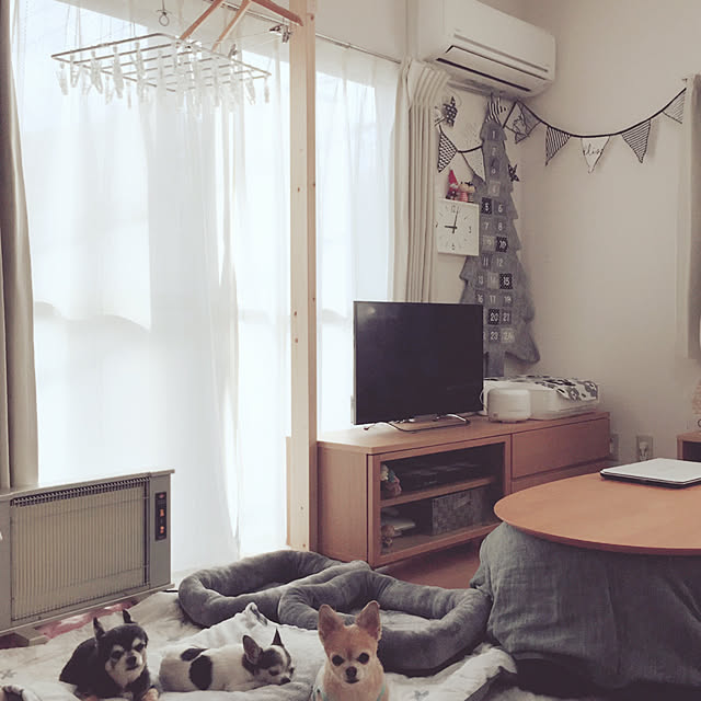 Emiさんの実例写真