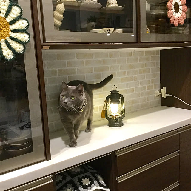 chikaさんの実例写真