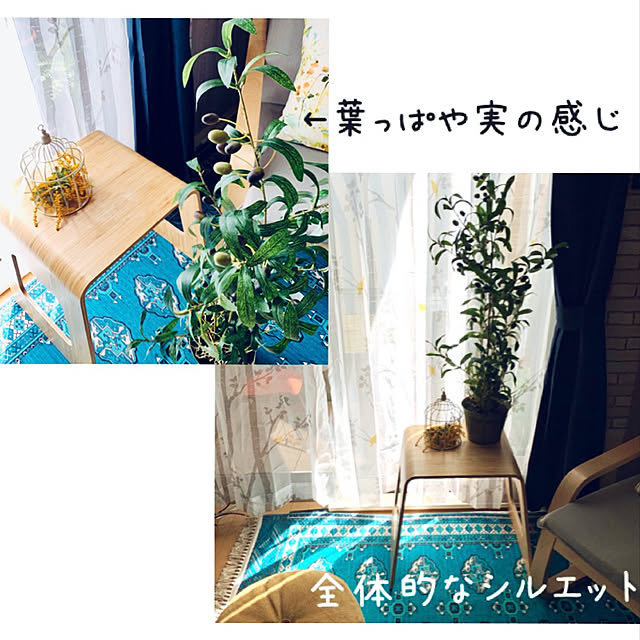 mo-nosukeさんの実例写真