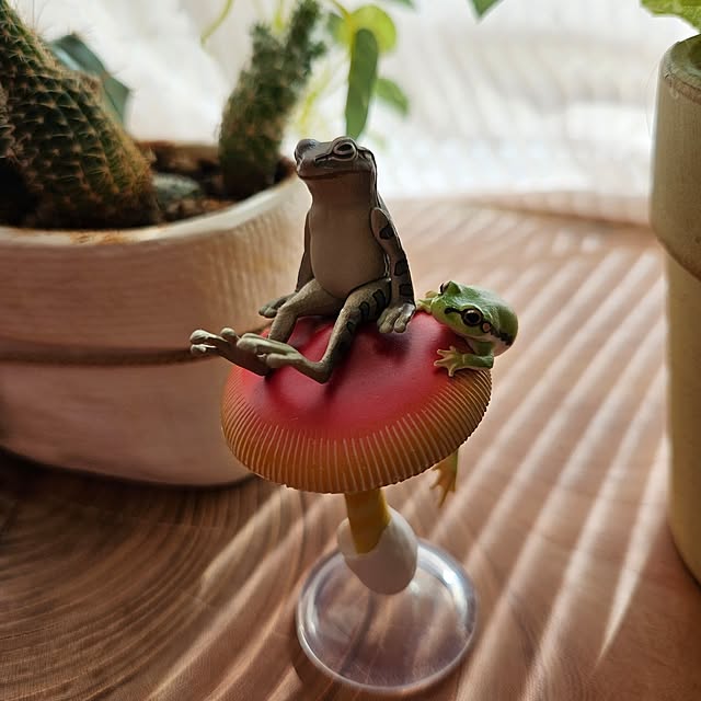 mogmogさんの実例写真