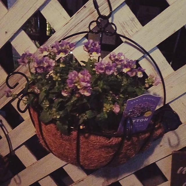 maaamiさんの実例写真