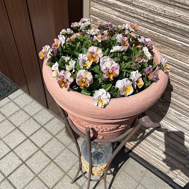 ronronさんの部屋