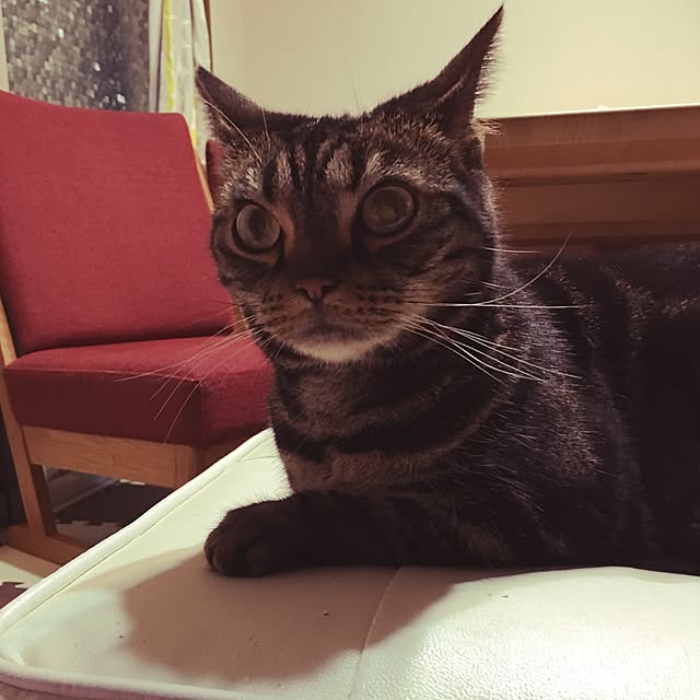 muさんの実例写真