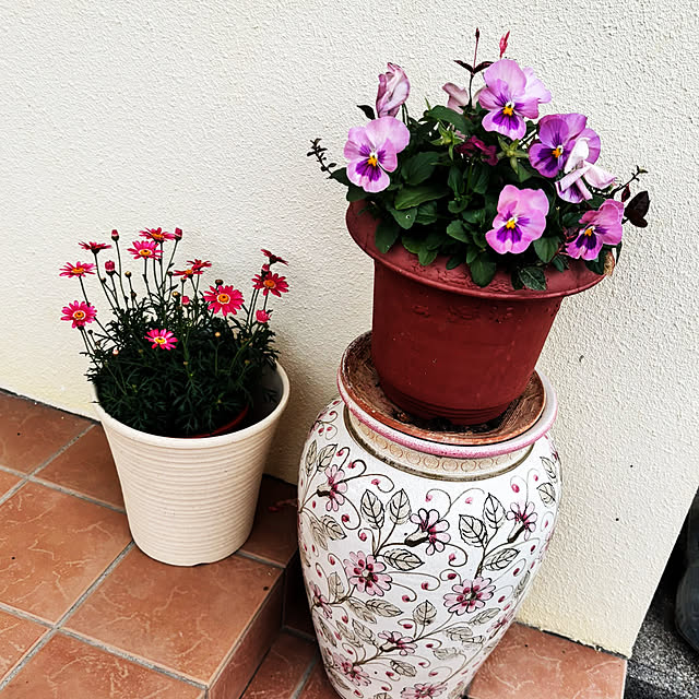 ruruさんの実例写真