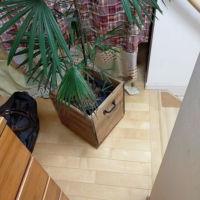 tamachan235さんの実例写真