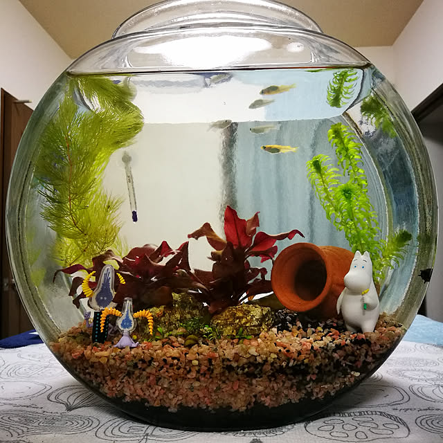 aineさんの実例写真