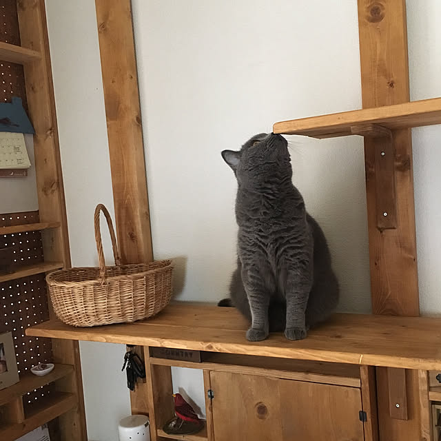 pochacoさんの実例写真