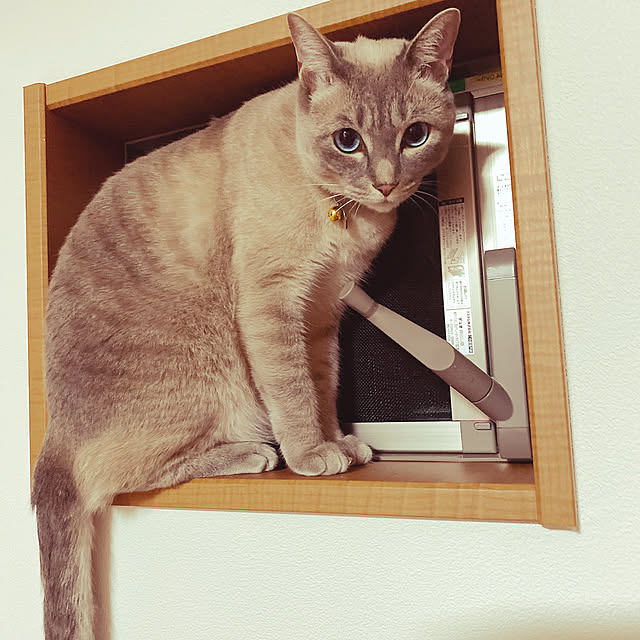 zumayanさんの実例写真