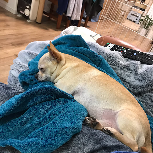 nacchintunnさんの実例写真