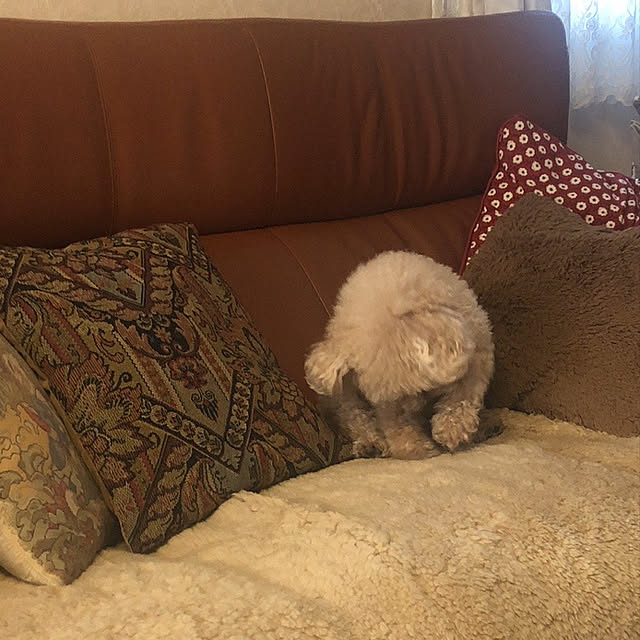 chiroruさんの実例写真