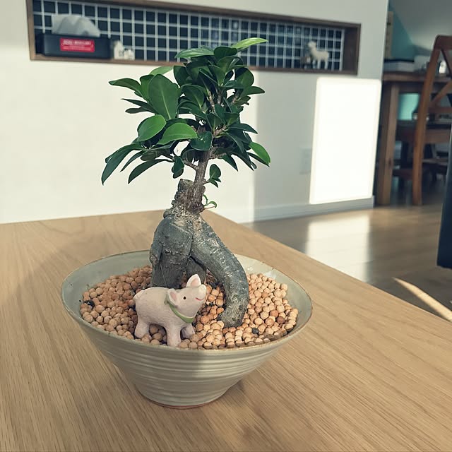 実例写真