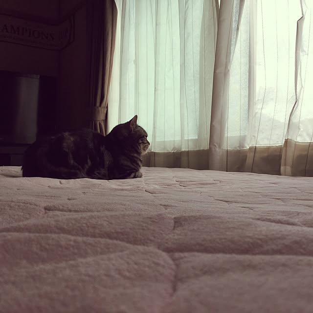 richanさんの実例写真