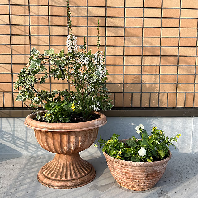 KirinPandaさんの実例写真