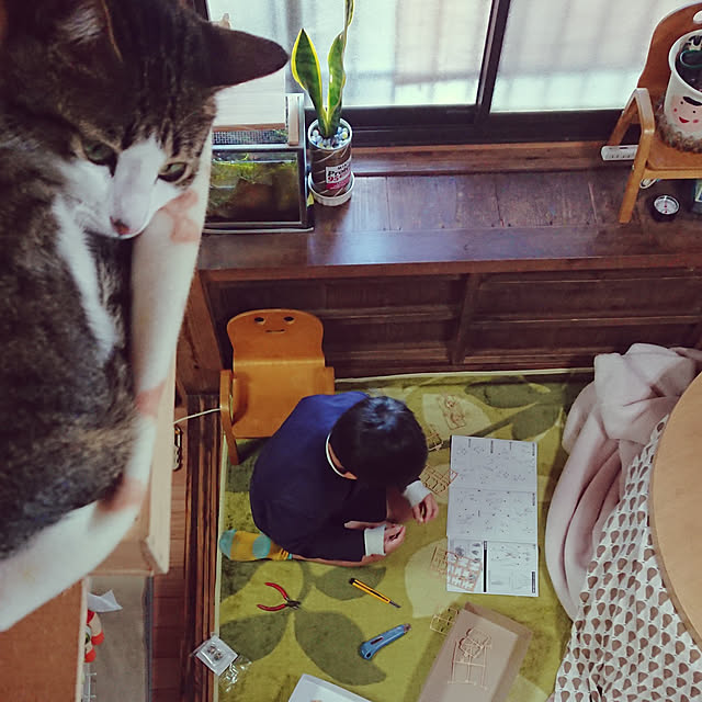 kikuさんの実例写真
