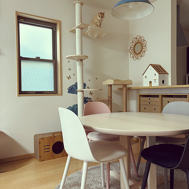 chiiさんの実例写真