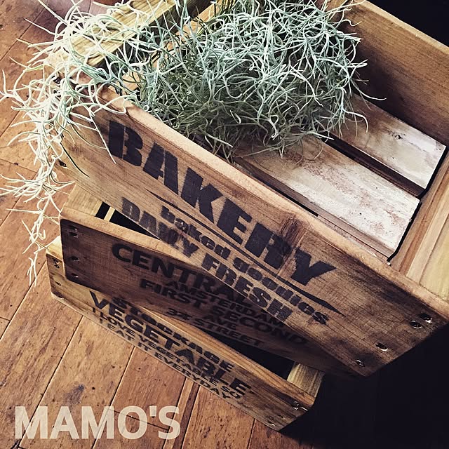 mamo.sさんの実例写真