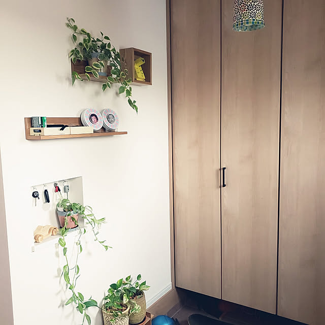 saさんの実例写真